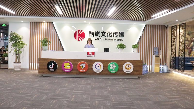 揭秘MG动画制作：性价比高的关键因素